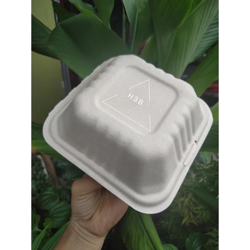 50 Hộp bã mía vuông