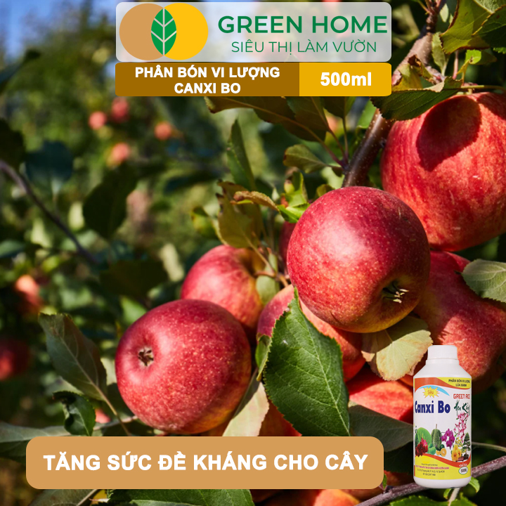 Phân Bón Vi Lượng Canxi Bo GreenHome, Chai 500ml, Chống Rụng Hoa, Tăng Đậu Trái, Giúp Trái Lớn Nhanh