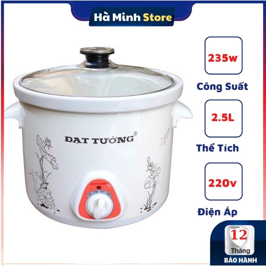 Nồi Kho Cá Bằng Điện Đạt Tường 4 Chế Độ Ruột Sứ Tráng Men Cao Cấp - Nồi Nấu Chậm, Hầm Cháo, Hầm Xương Đa Năng