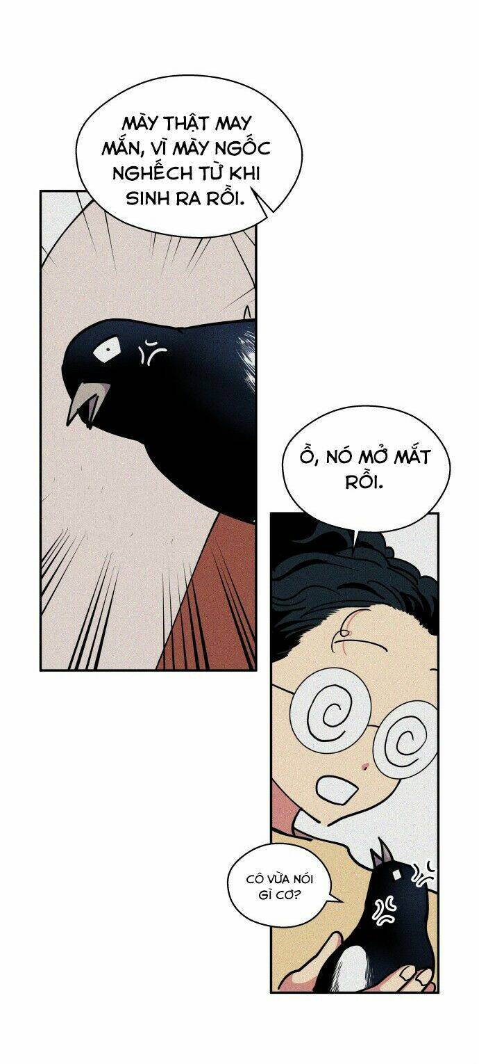 tai sói và mũ đỏ chapter 42 67