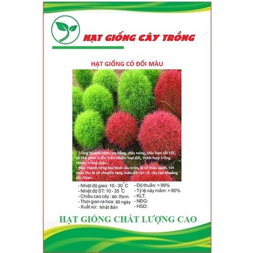 Hạt giống Cỏ Đổi Màu Nhật Bản Kochia CT228 - Gói 50 hạt
