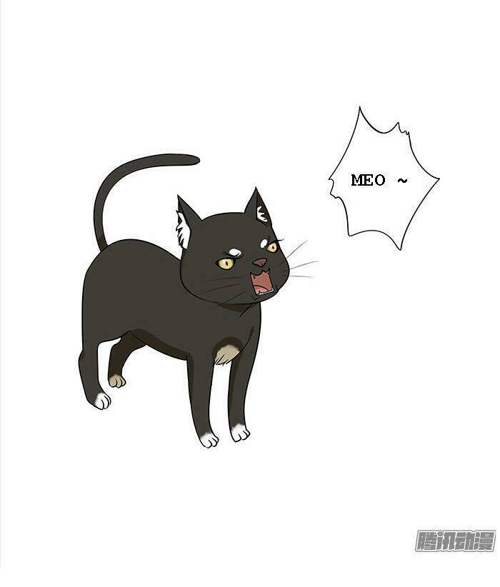 tương thân chung kết giả chapter 7 9