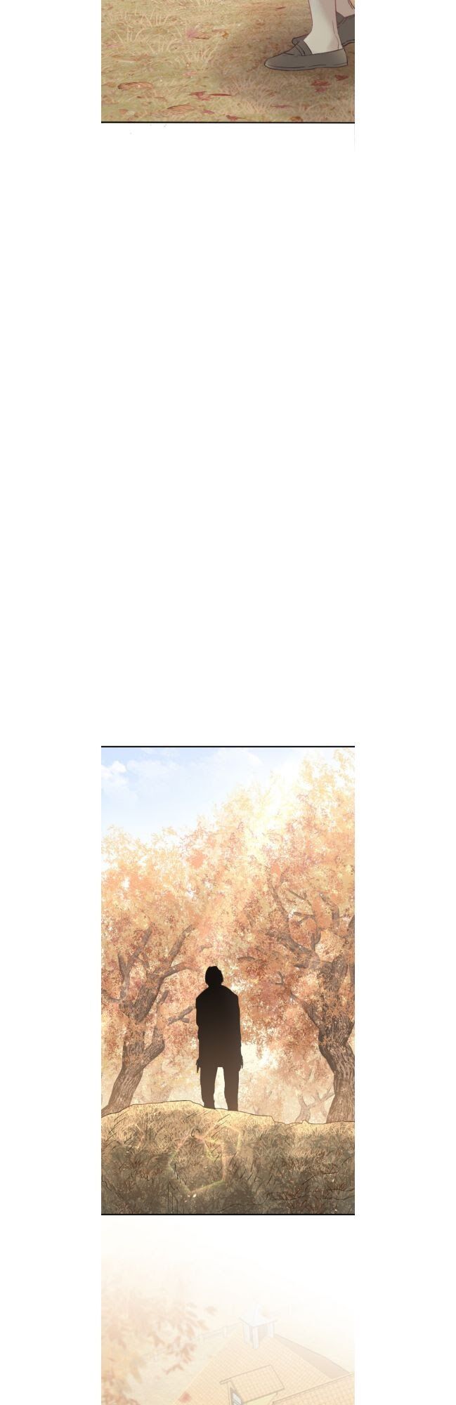 cậu bé người sói chapter 1 23