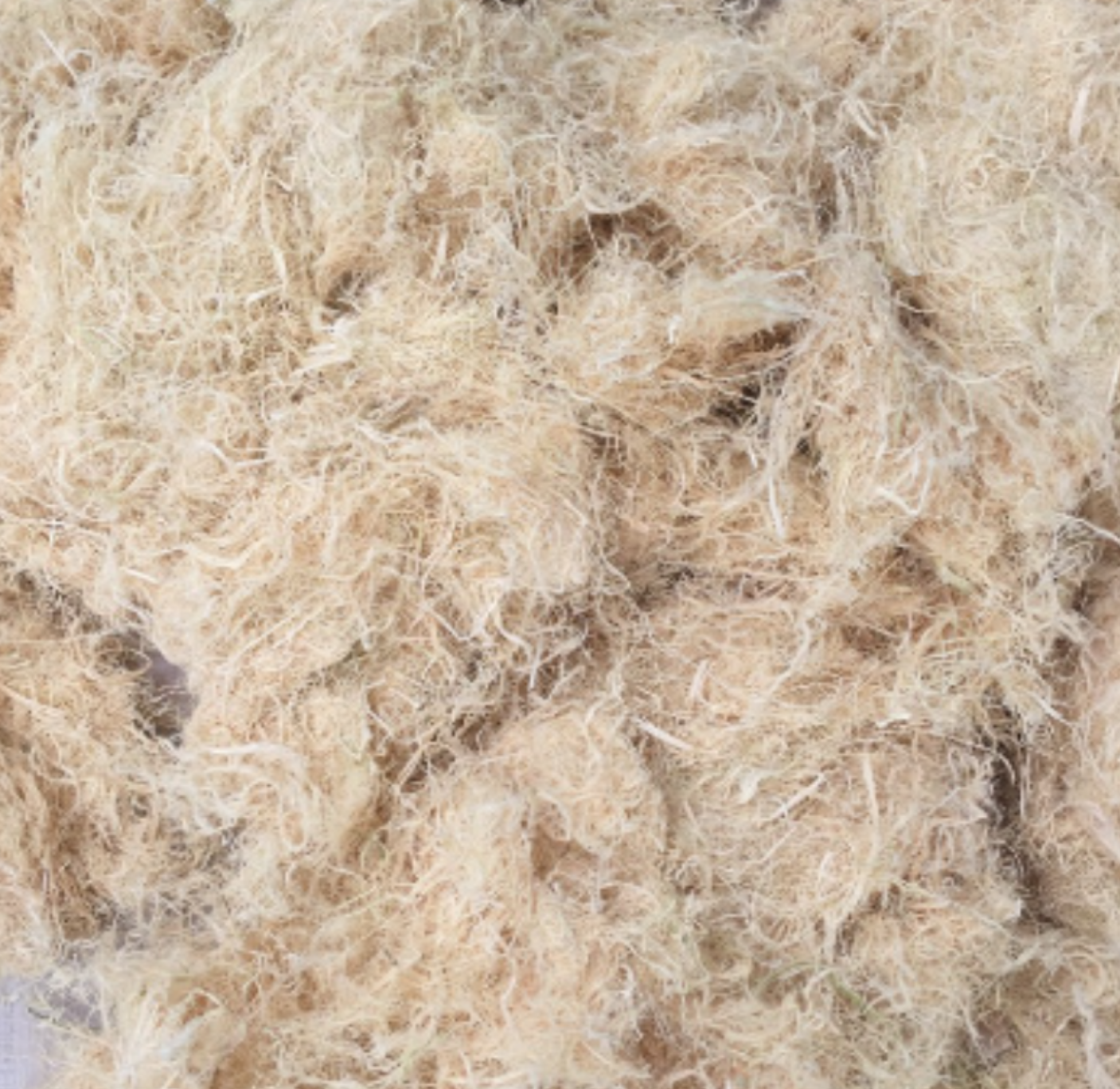 100 xảm tre (tre bào) lót ổ cho yến, finch, manh manh, chim sẻ, sắc nhật