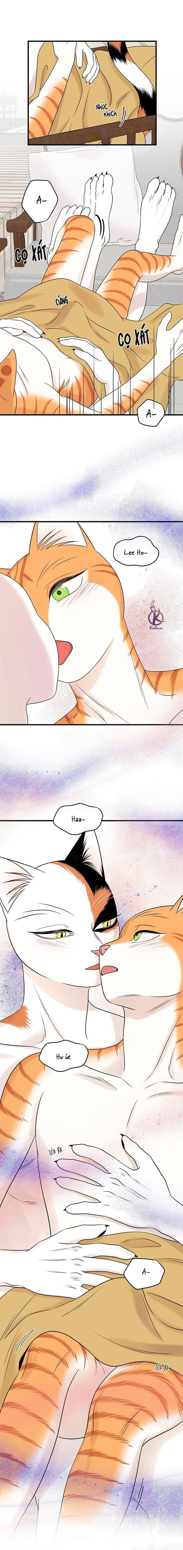 dự án xanh chapter 56 9