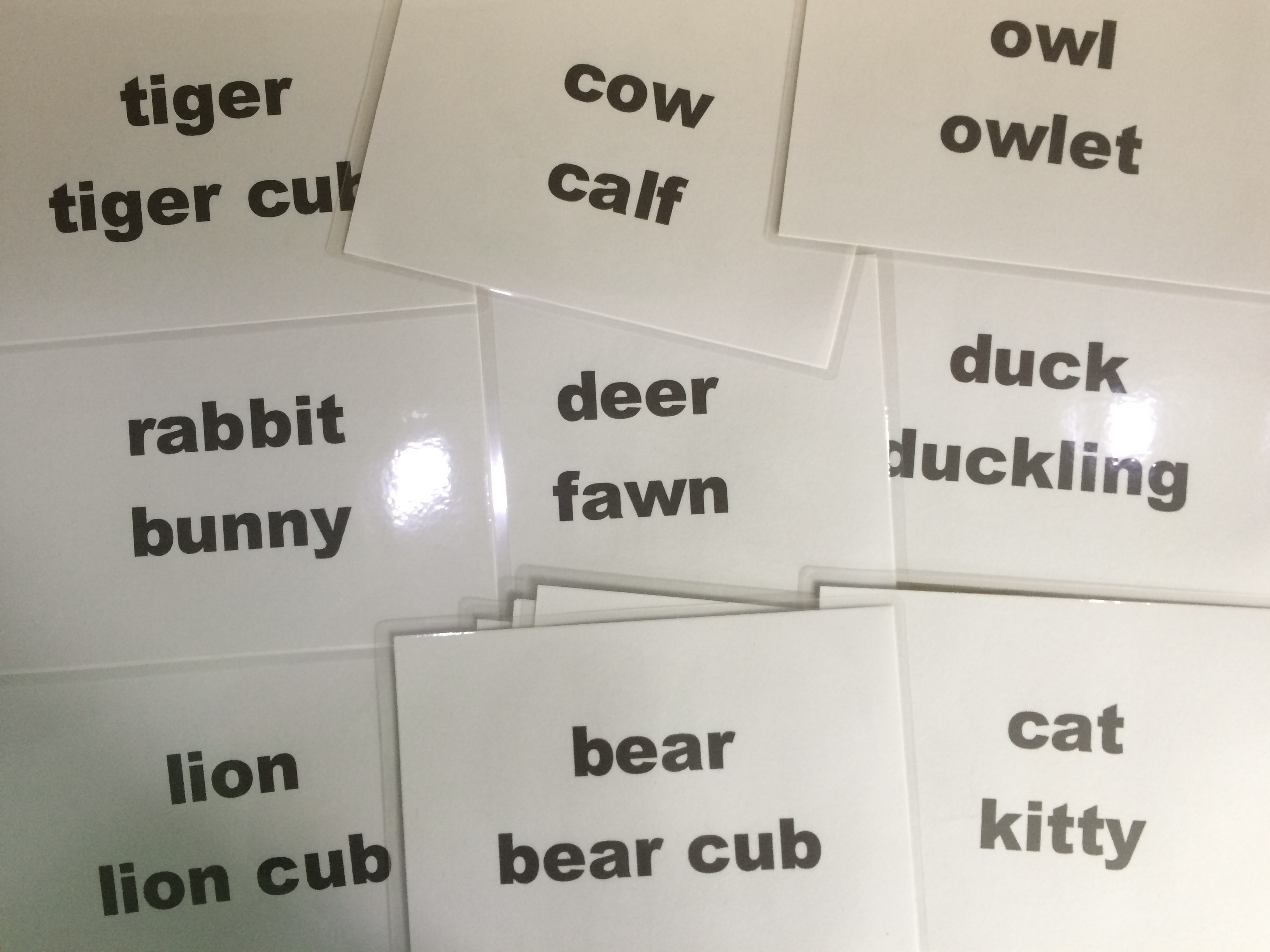 Baby animals' name Flashcards - Thẻ học tiếng Anh chủ đề tên các động vật con - 15 cards: bunny, kitty, duckling, owlet