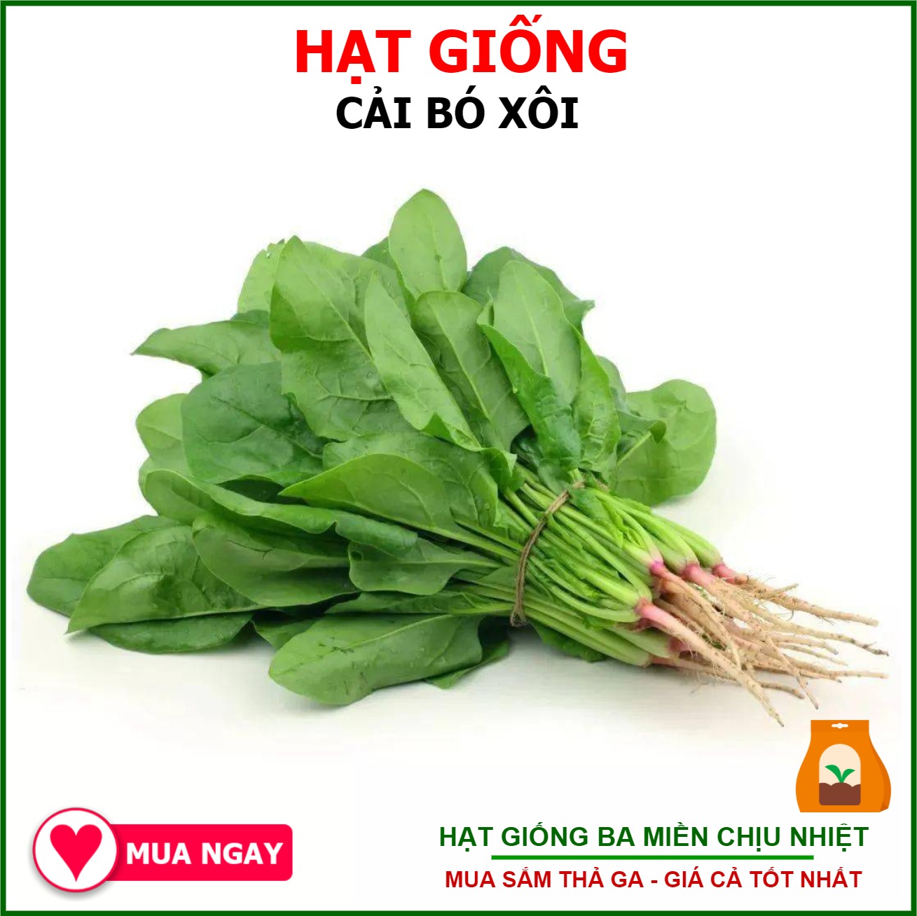 Hạt Giống Cải Bó Xôi Cửu Long Gói 20gram