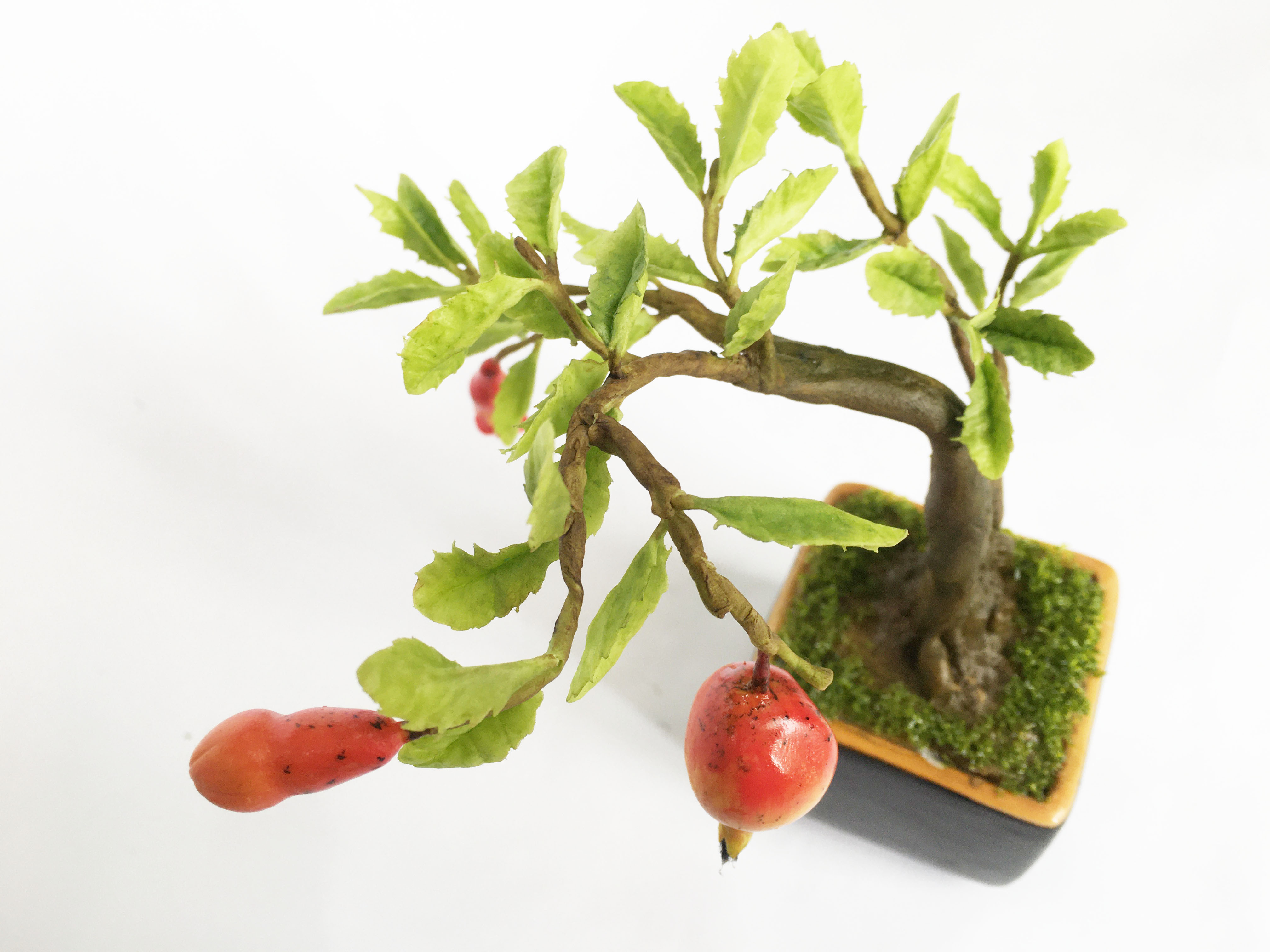 Chậu hoa đất sét mini- Bonsai lựu - Quà tặng trang trí handmade (18x10x10cm)