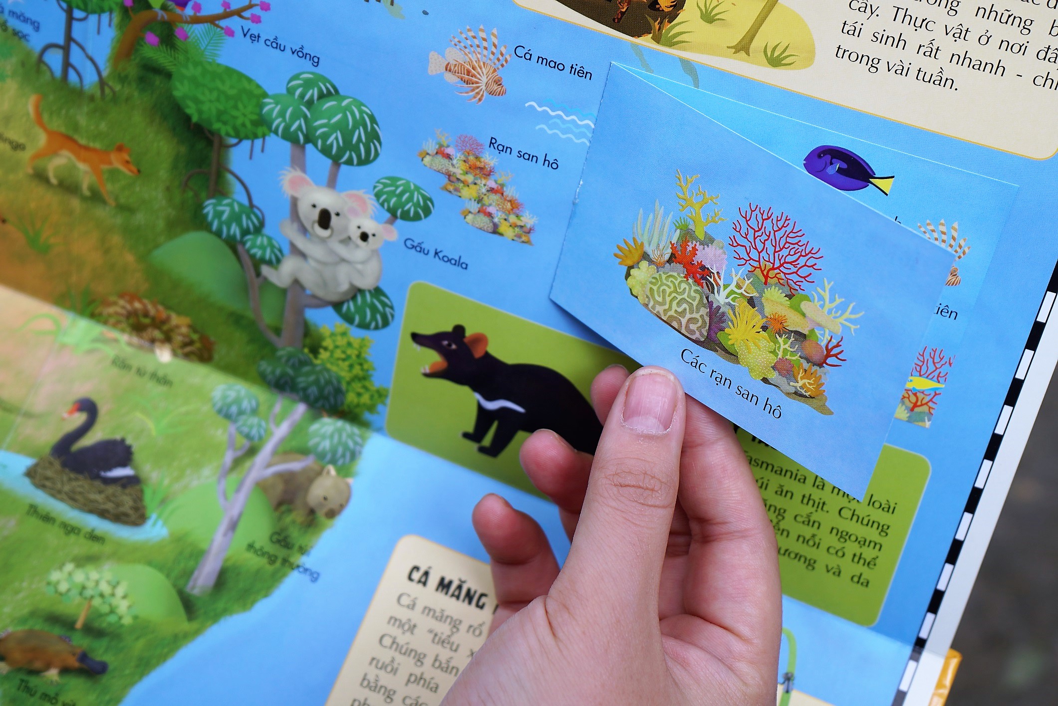 Sách Atlas Động Vật – Khám Phá Thế Giới Động Vật  – Đinh Tị