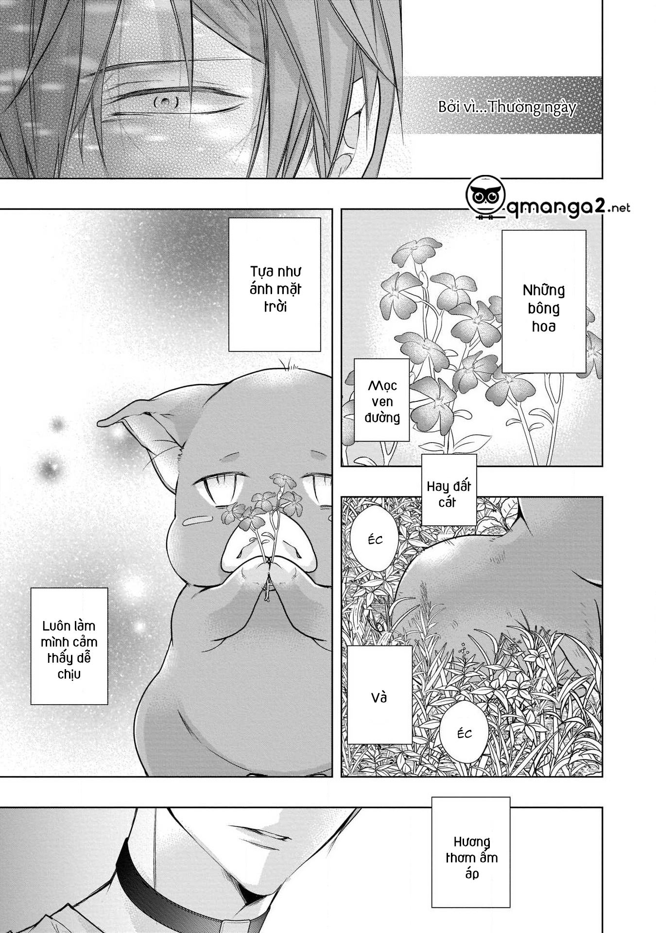 gã alpha nhà tôi thật ngoài sức tưởng tượng chapter 4 4