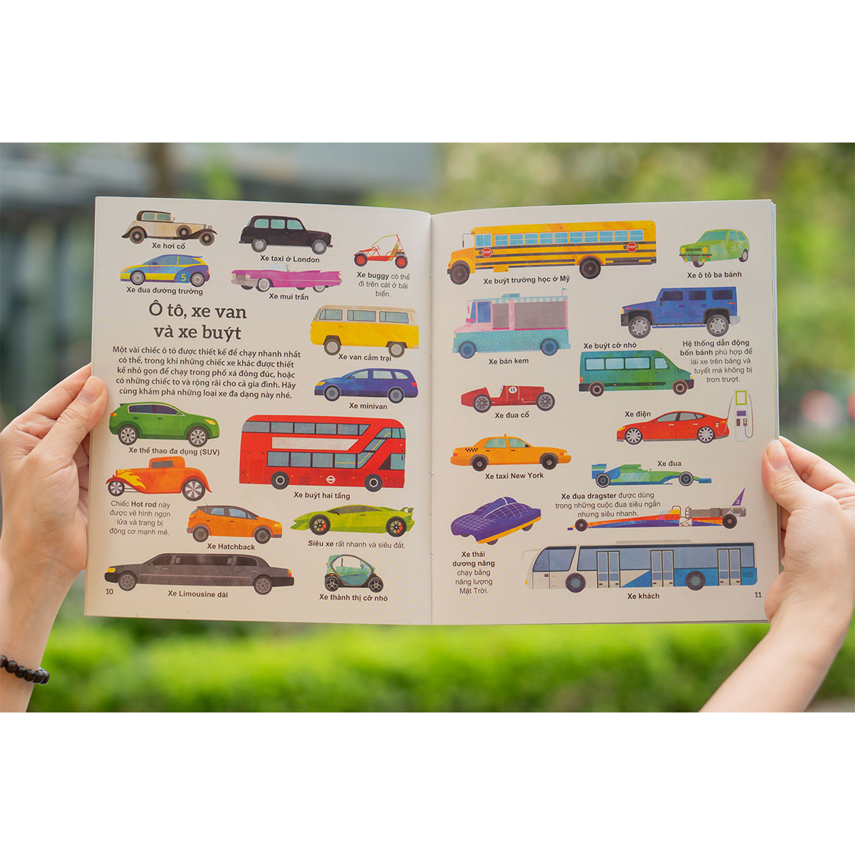 Khám phá các phương tiện vận chuyển trên thế giới - Xe tải và các loại phương tiện có bánh khác