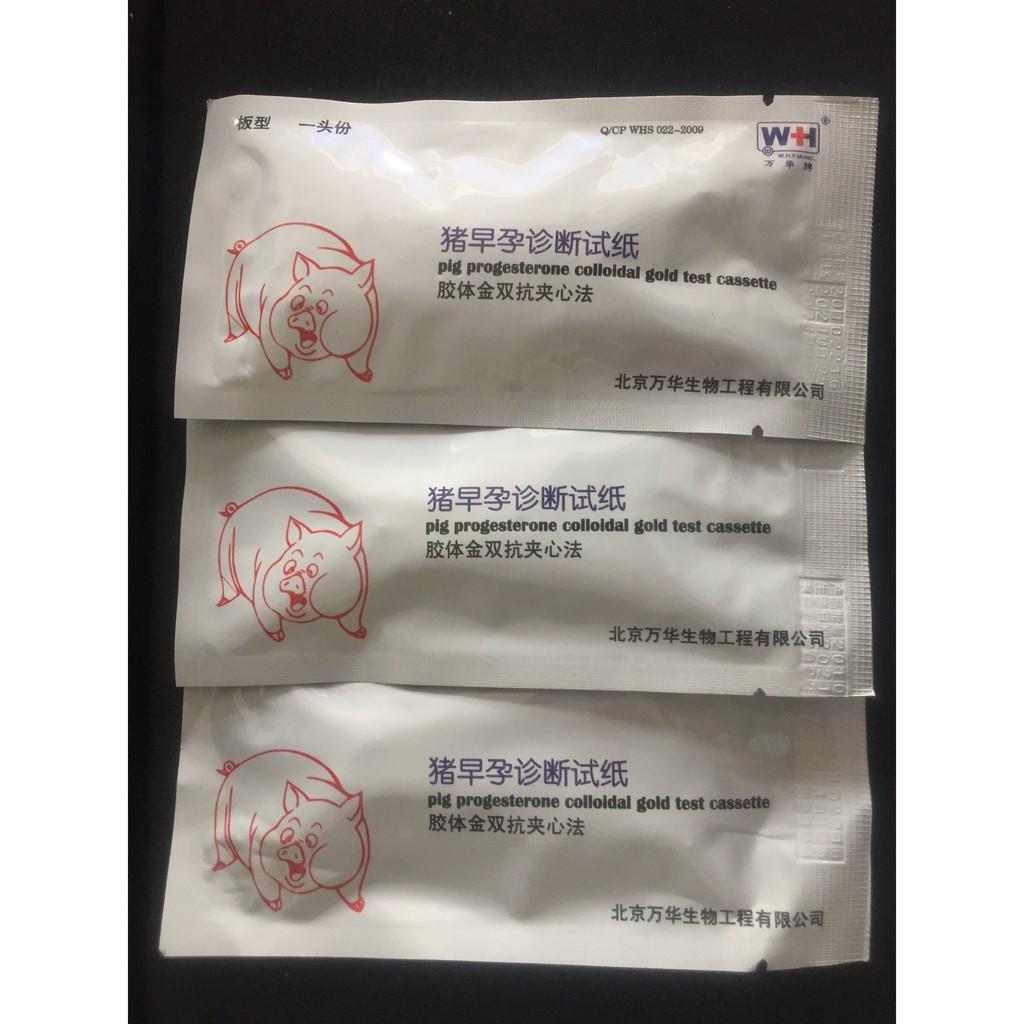 Que thử thai dành cho heo, lợn