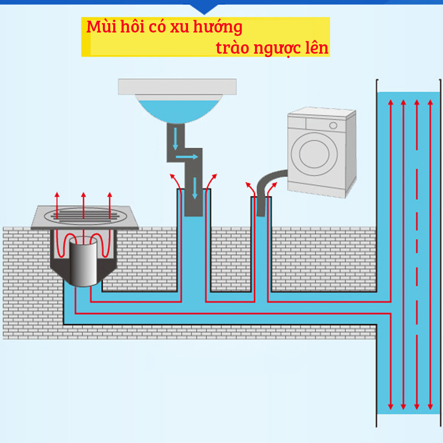 Phụ kiện Silicone lắp thoát sàn chống mùi hôi vi khuẩn trào ngược lên