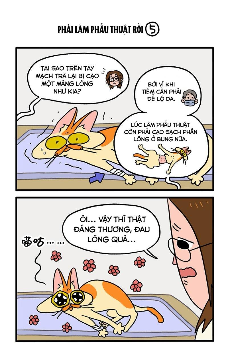 a mãn và mạch trà chapter 13.1 3