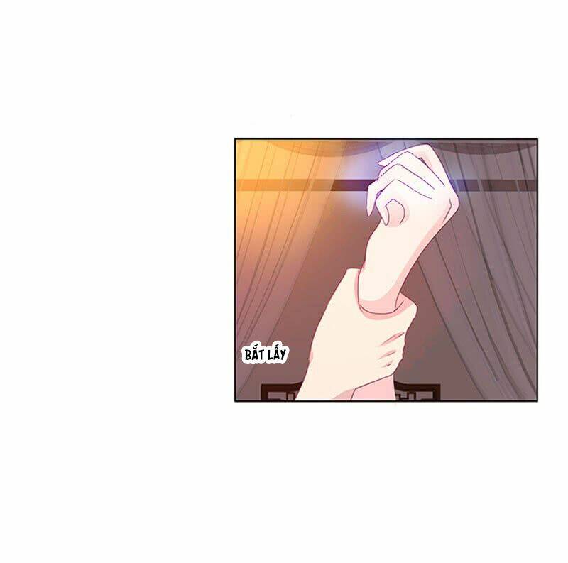 tướng quân mời ra trận chapter 86 15