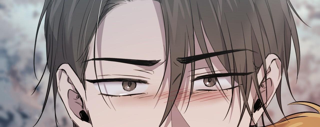 những chú thỏ của hapypy chapter 61 277