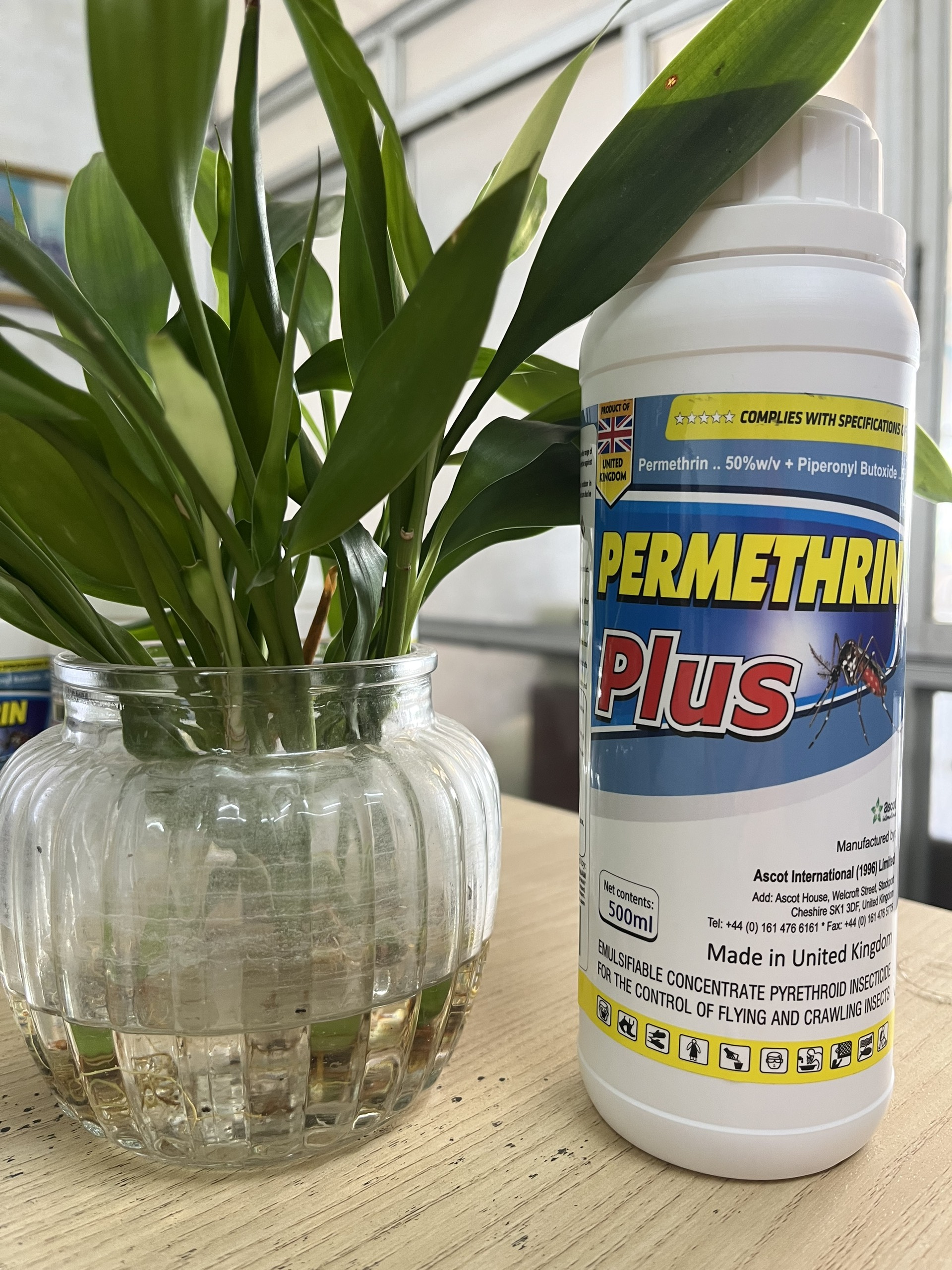 Thuốc diệt muỗi nhập khẩu nguyên chai Anh Quốc Permethrin Plus 50EC chai 500 ml