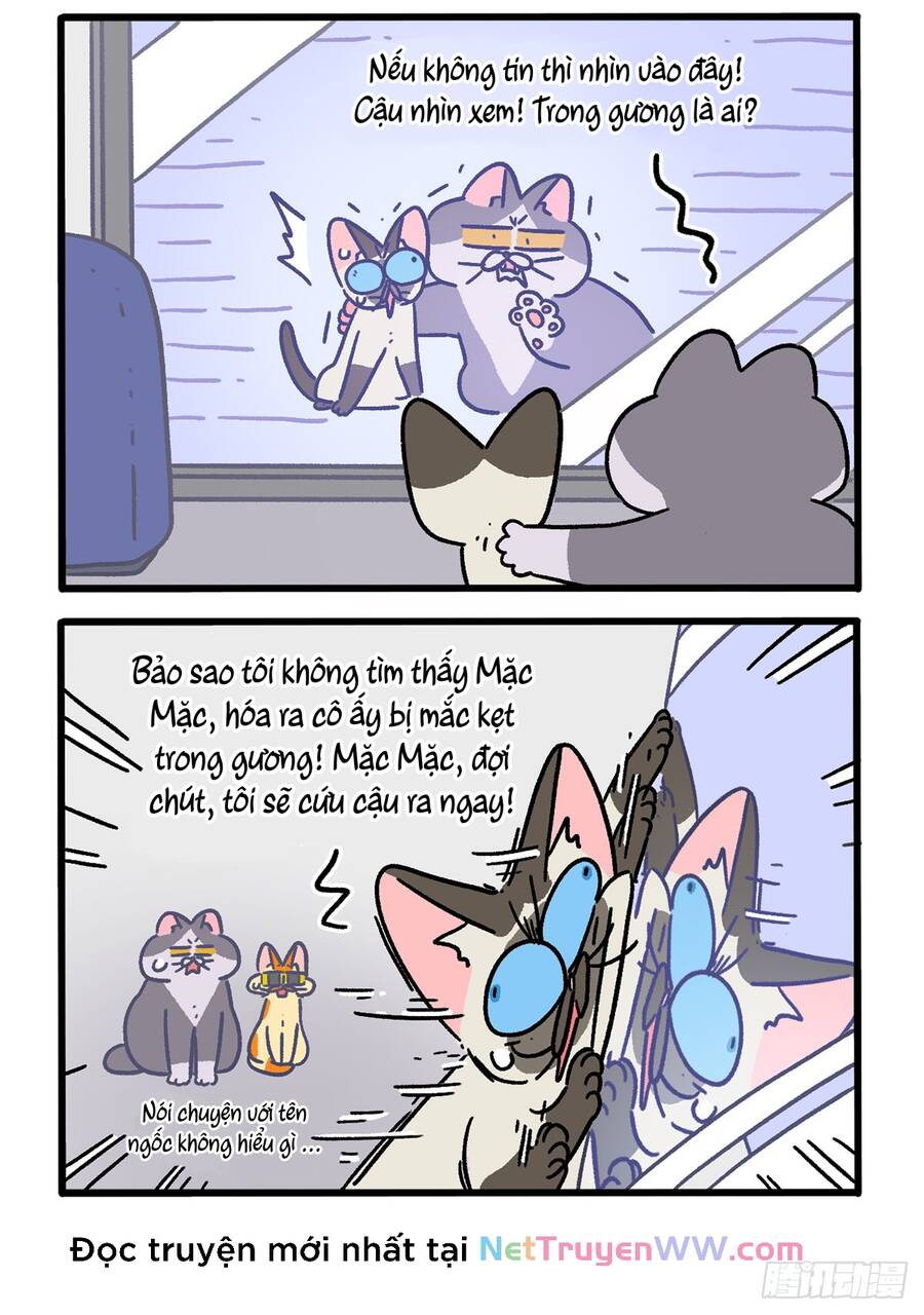 a mãn và mạch trà chapter 151 2