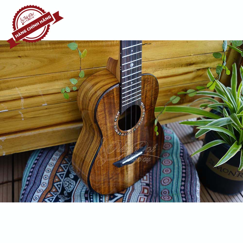 Đàn Ukulele Concert SQOE SQ UK-2420C, Gỗ KOA Nguyên Tấm Cao Cấp, Kèm Quà Tặng - Hàng Chính Hãng