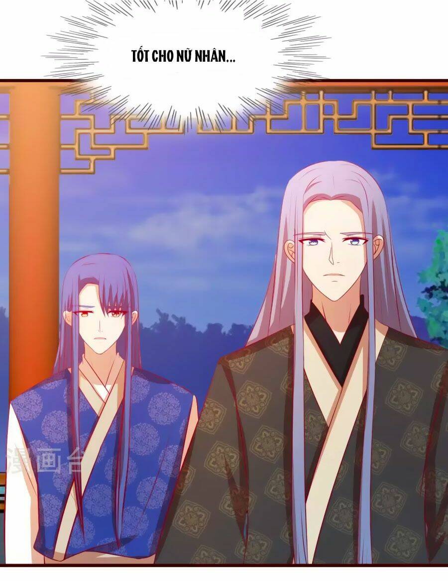 thỏ yêu tiểu vương phi chapter 27 11