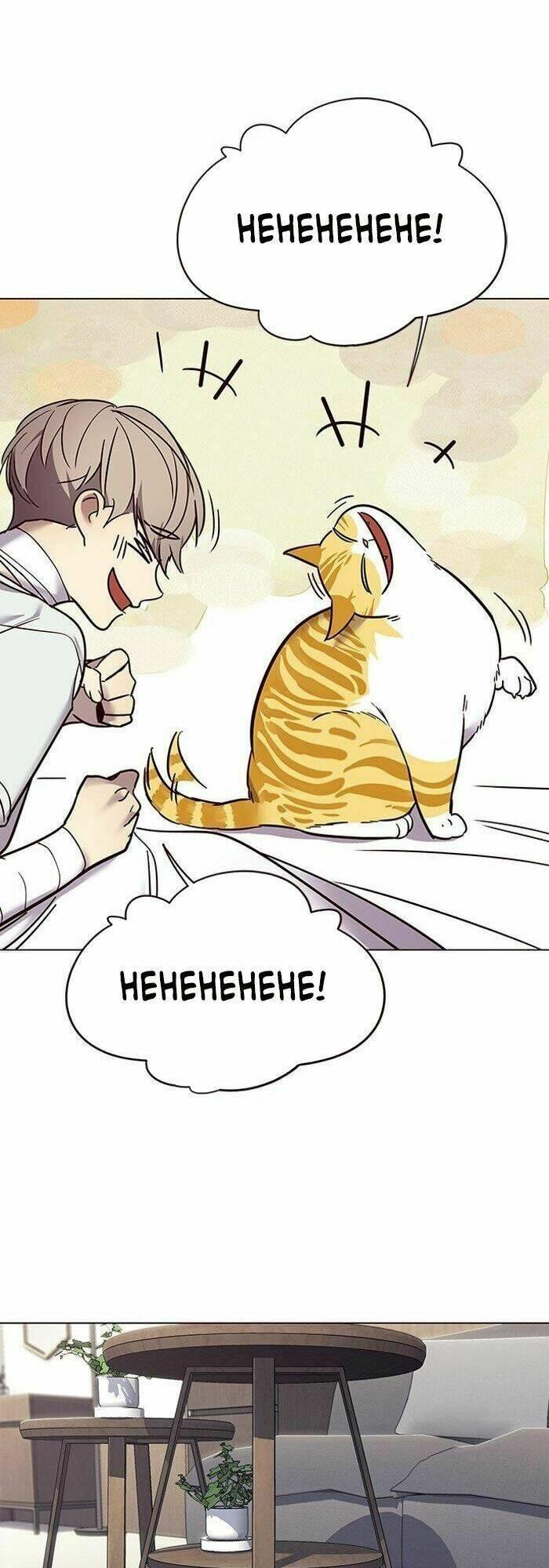 biến thân thành mèo chapter 88 18