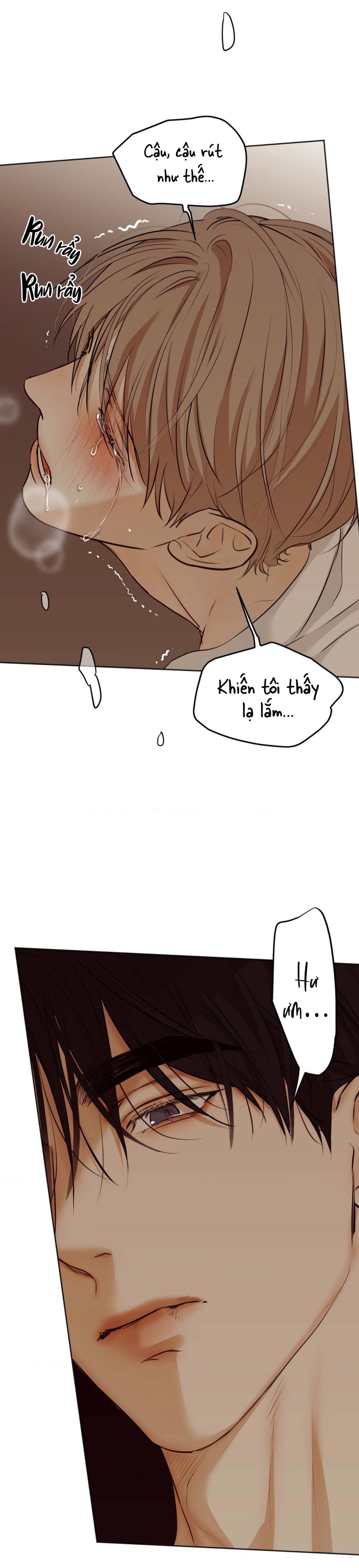 ái dục chapter 11 5