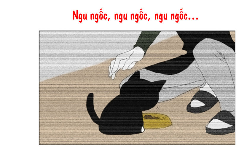 thú cưng của tôi là dơi chapter 27 43