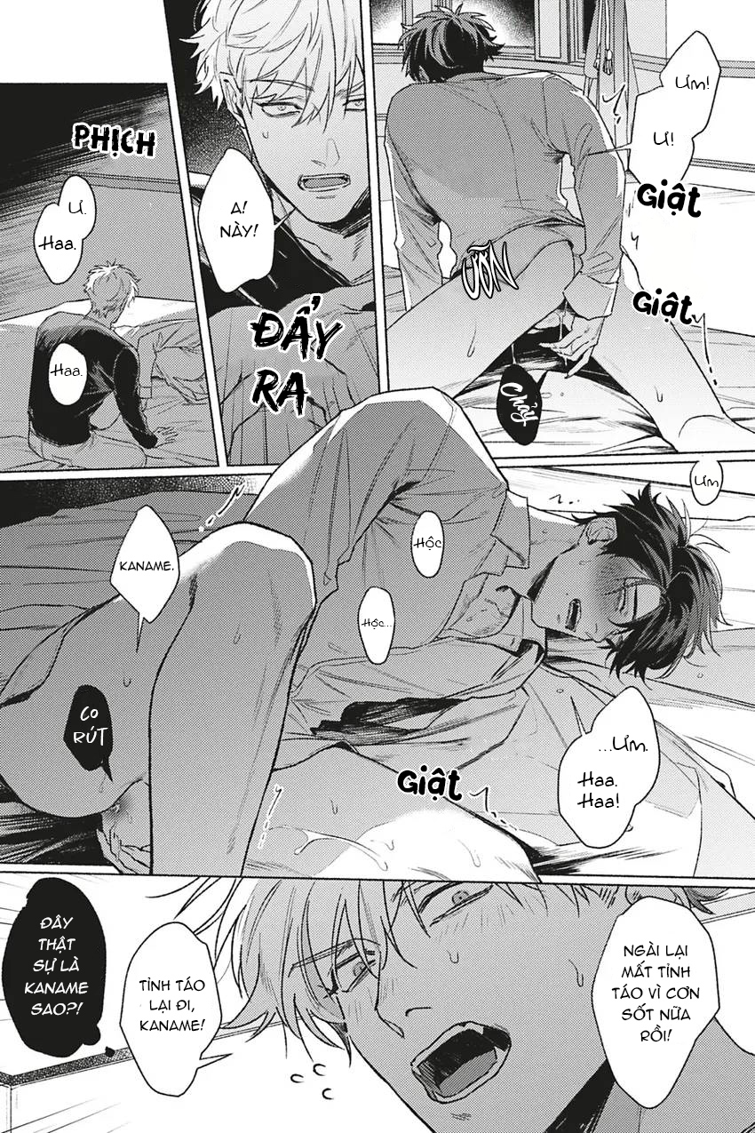 dòng máu bạch kim chapter 4 20