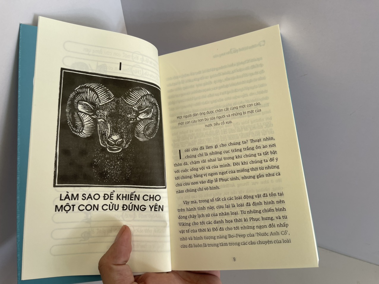 LƯỢC SỬ THẾ GIỚI TRÊN LƯNG CỪU – Sally Coulthard - Nguyễn Thế Hiền dịch - Bách Việt