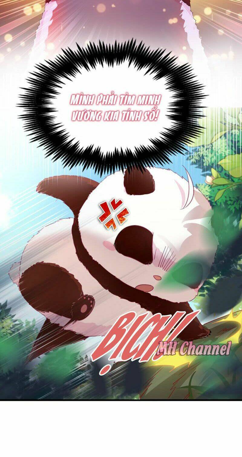 thiên thần gấu trúc muốn được ôm chapter 4 9