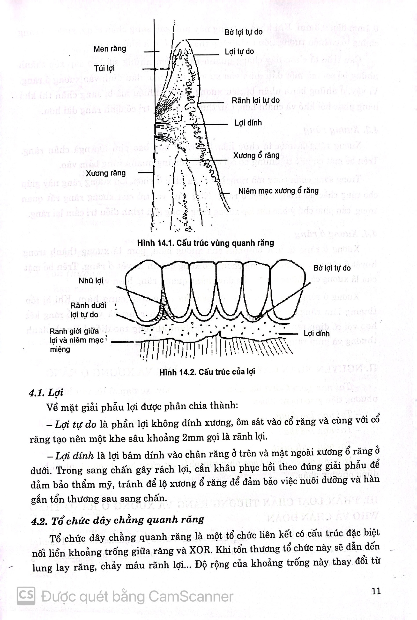 Benito - Sách - Phẫu thuật trong miệng Tập 2 - NXB Giáo dục