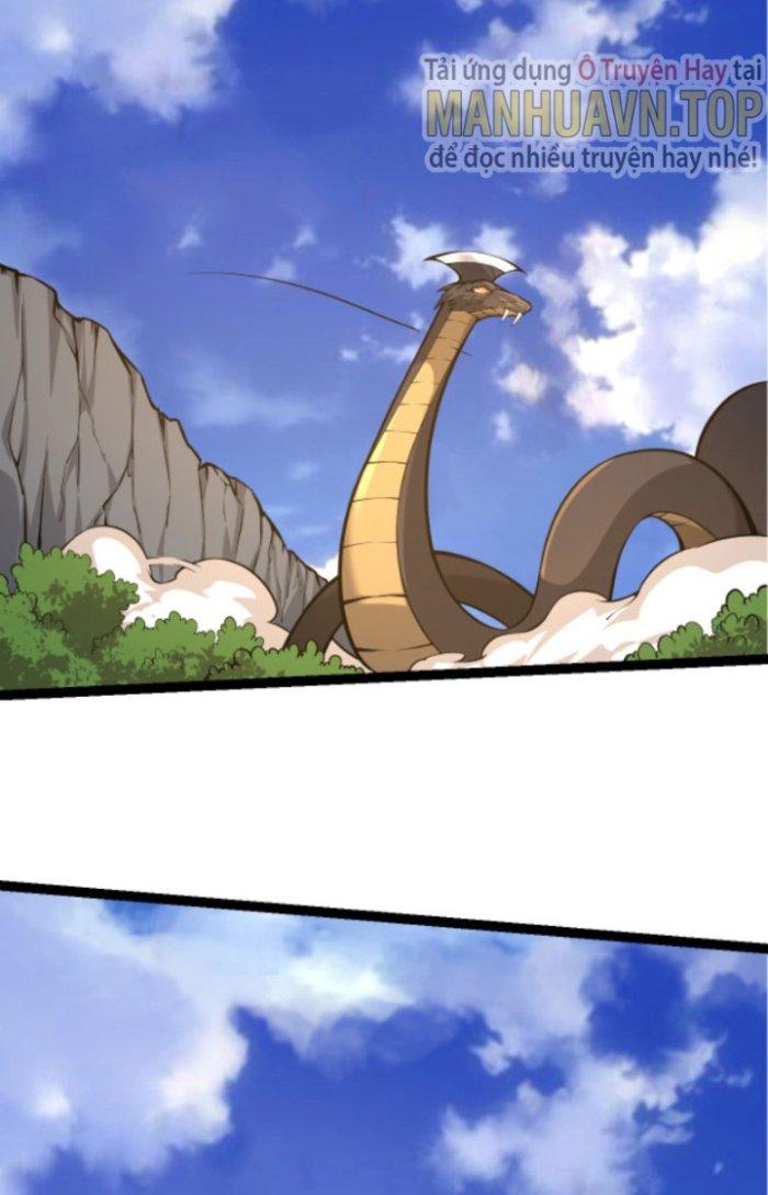 từ cây cổ thụ bắt đầu tiến hóa chapter 5 67