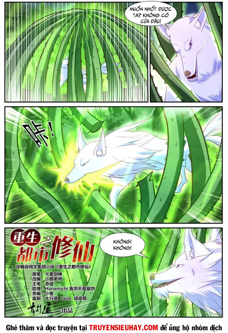 Trọng Sinh Đô Thị Tu Tiên Chapter 860 - Trang 8