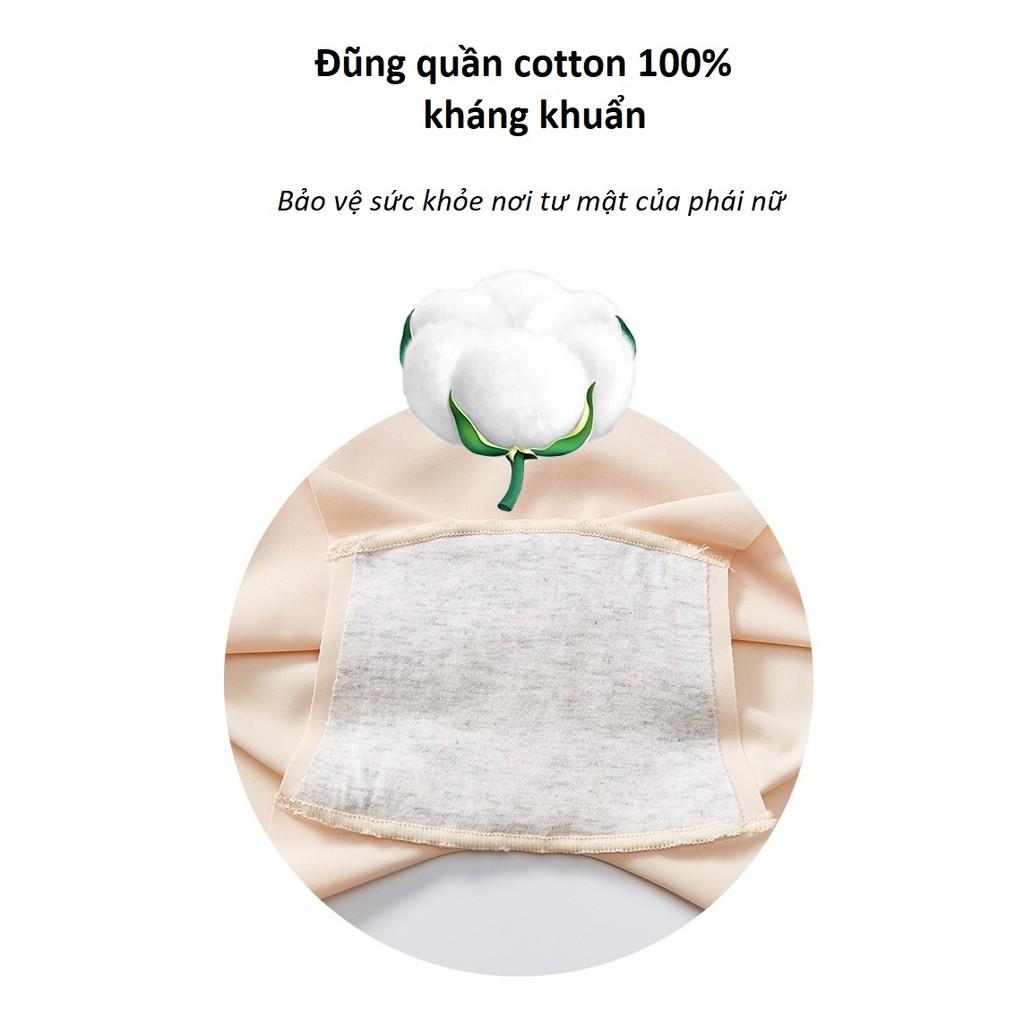 Quần Lót Đúc Chống Lộ Viền Chống Cuộn Chống Lọt Khe Kháng Khuẩn Ôm Full Vòng 3 Cao Cấp P427