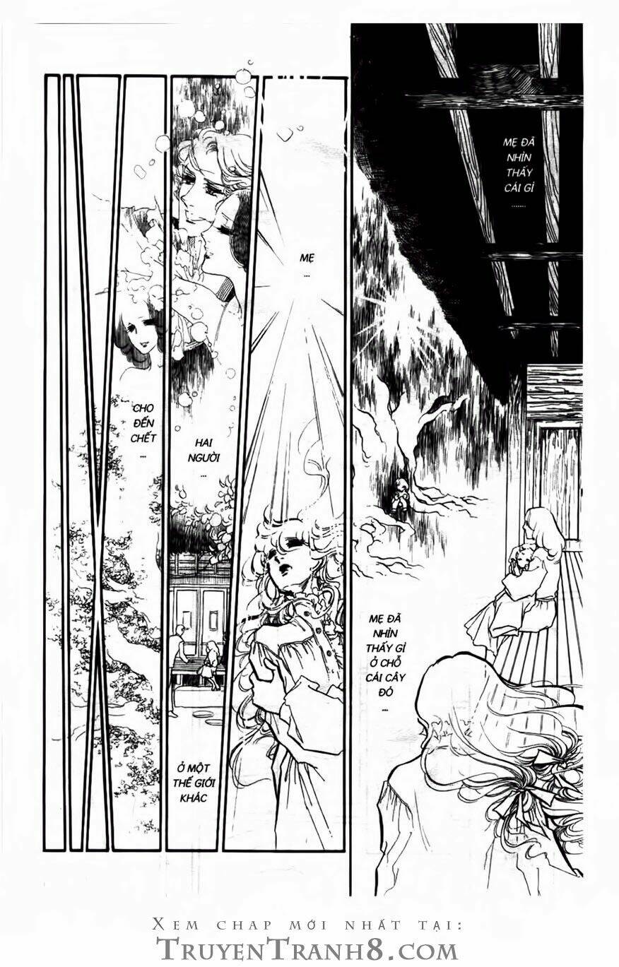 swan - vũ khúc thiên nga chapter 116 5