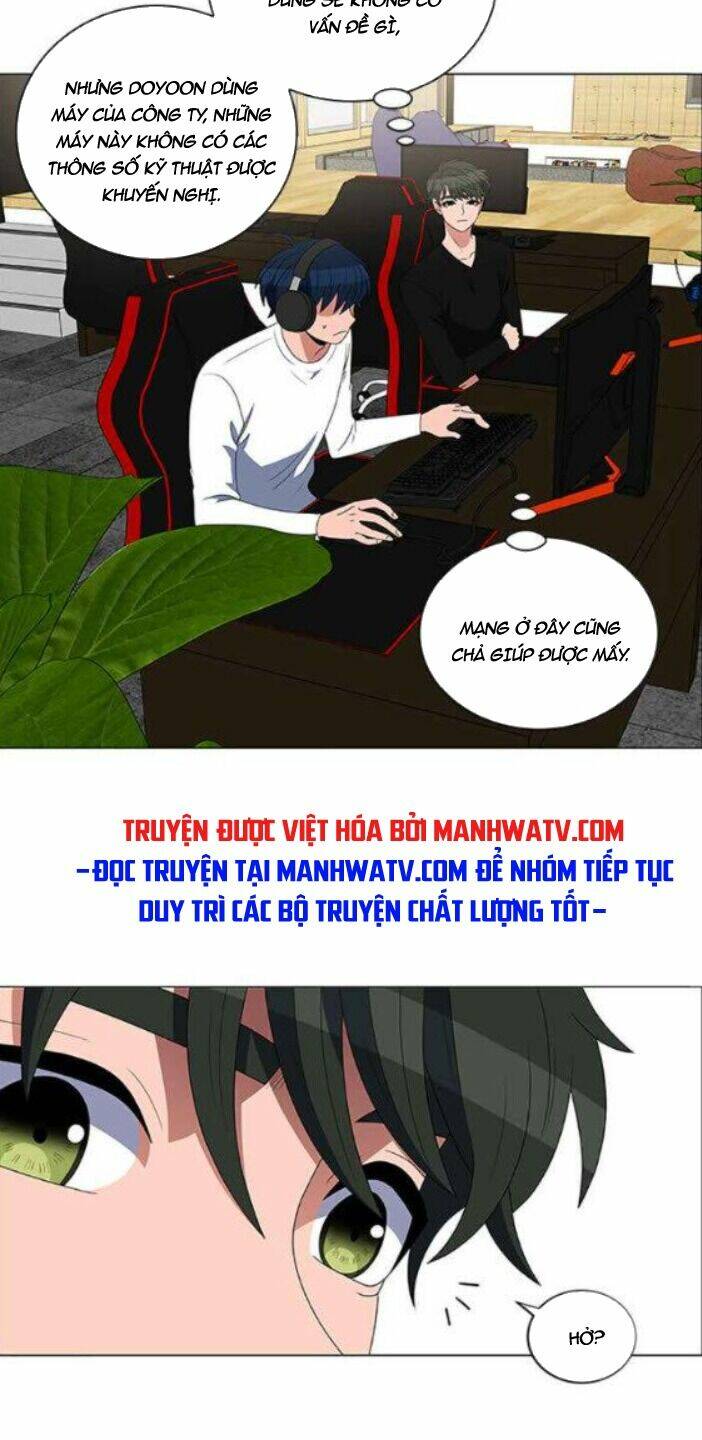 no scope chapter 115 31