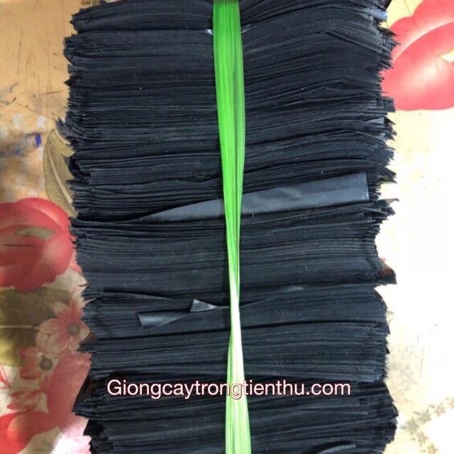 TÚI BẦU ƯƠM CÂY GIỐNG 1kg