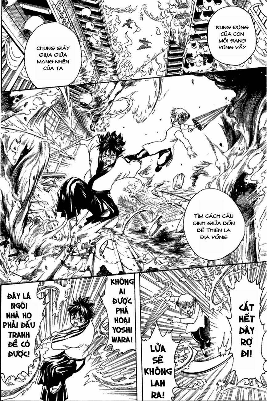 gintama - linh hồn bạc chapter 258 7