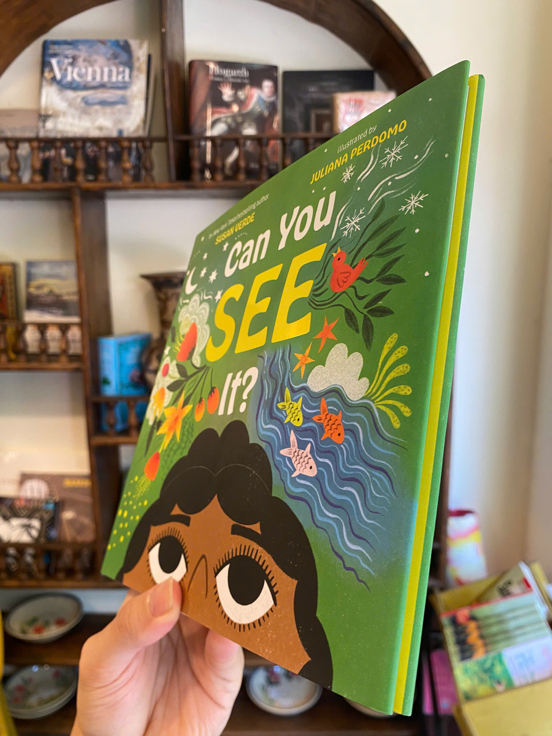 Sách - Can You See It? A Picture Book by Susan Verde | Children's Graphic Novel About Mental Health