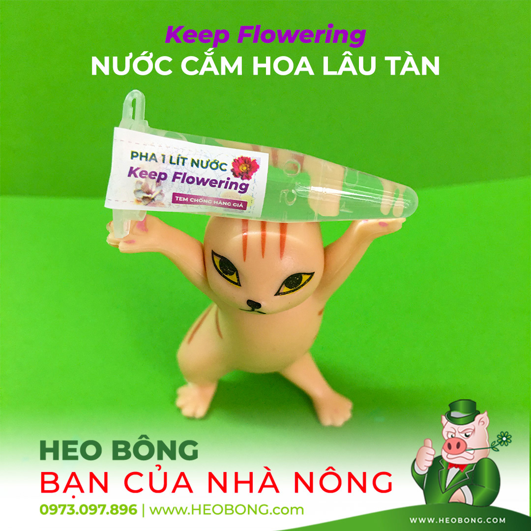 Nước Cắm Hoa Lâu Tàn Keep Flowering