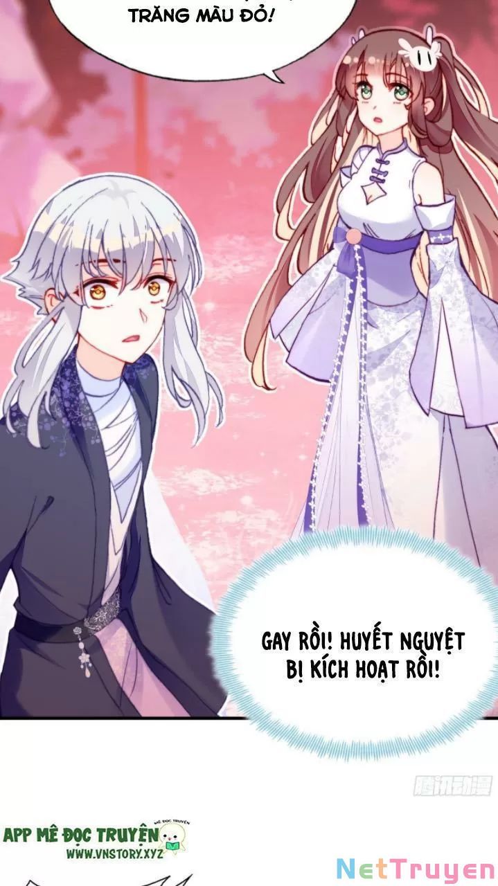 lại bị bệnh chiều chuộng quấn lấy chapter 21 49