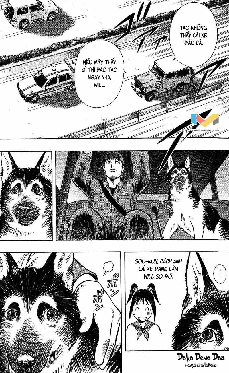 animal sense chapter 8 45
