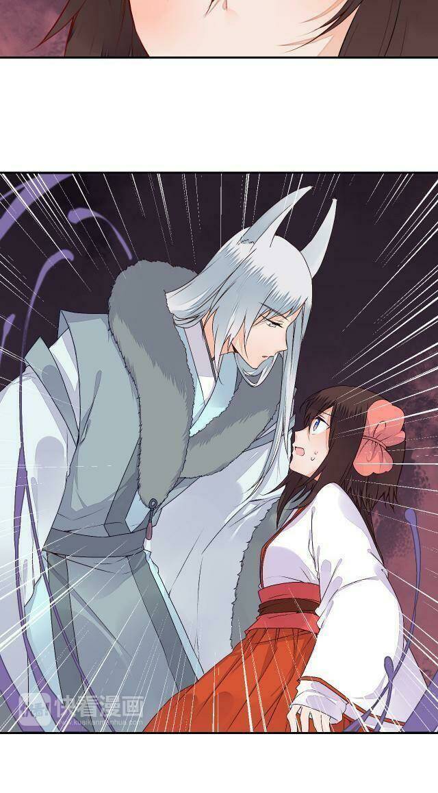 đốt đào hoa chapter 50 11