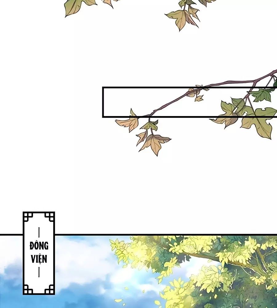 thịnh thế lê hoa điện chapter 61 25