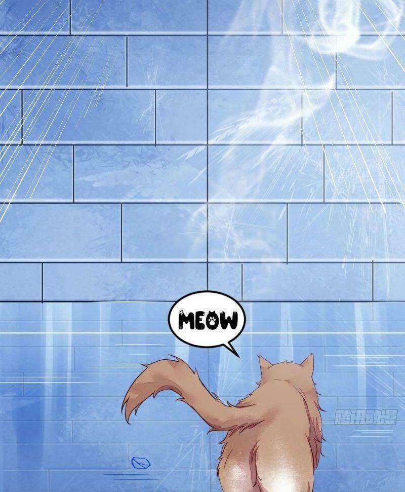 sát thủ vương phi không dễ chọc chapter 44 13