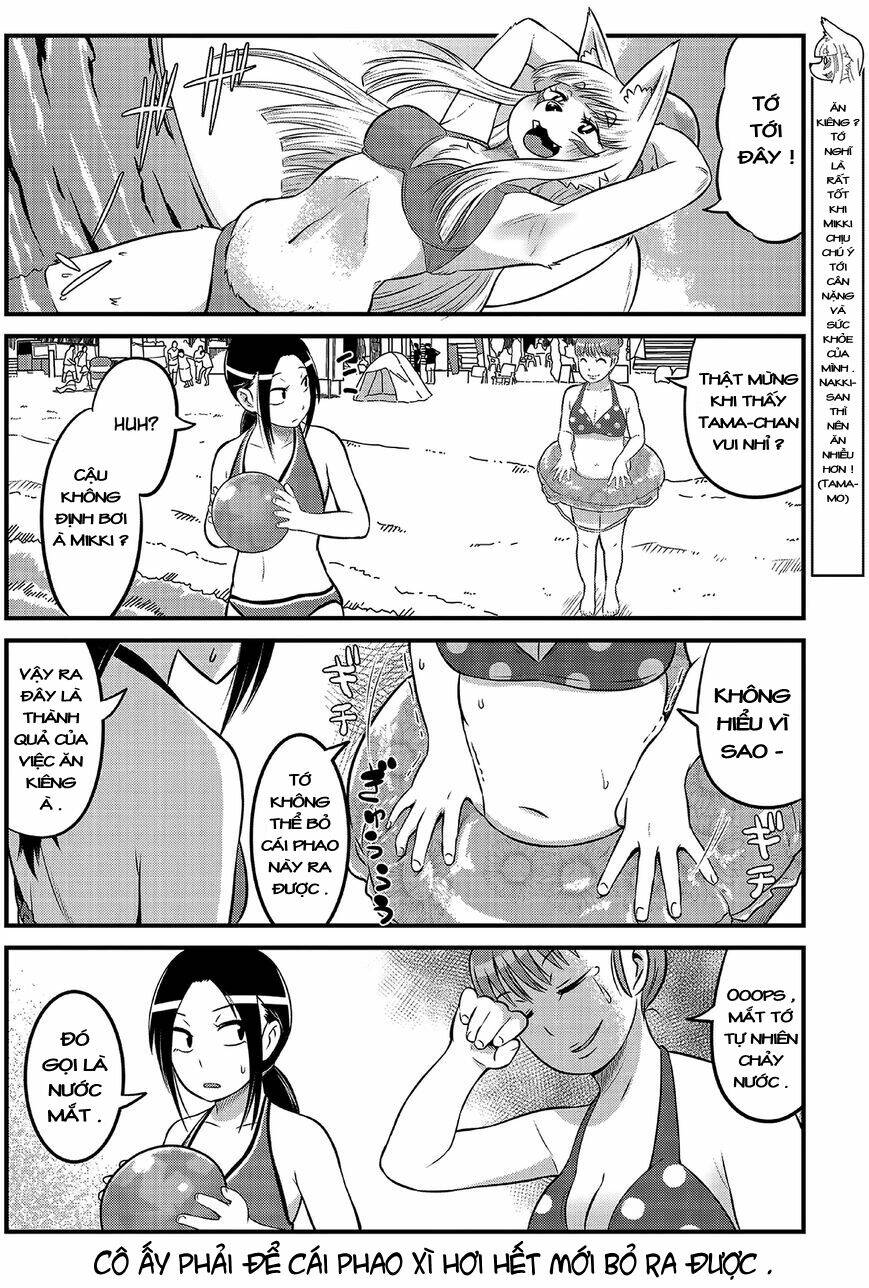 high school inari tamamo-chan ! chapter 14 5