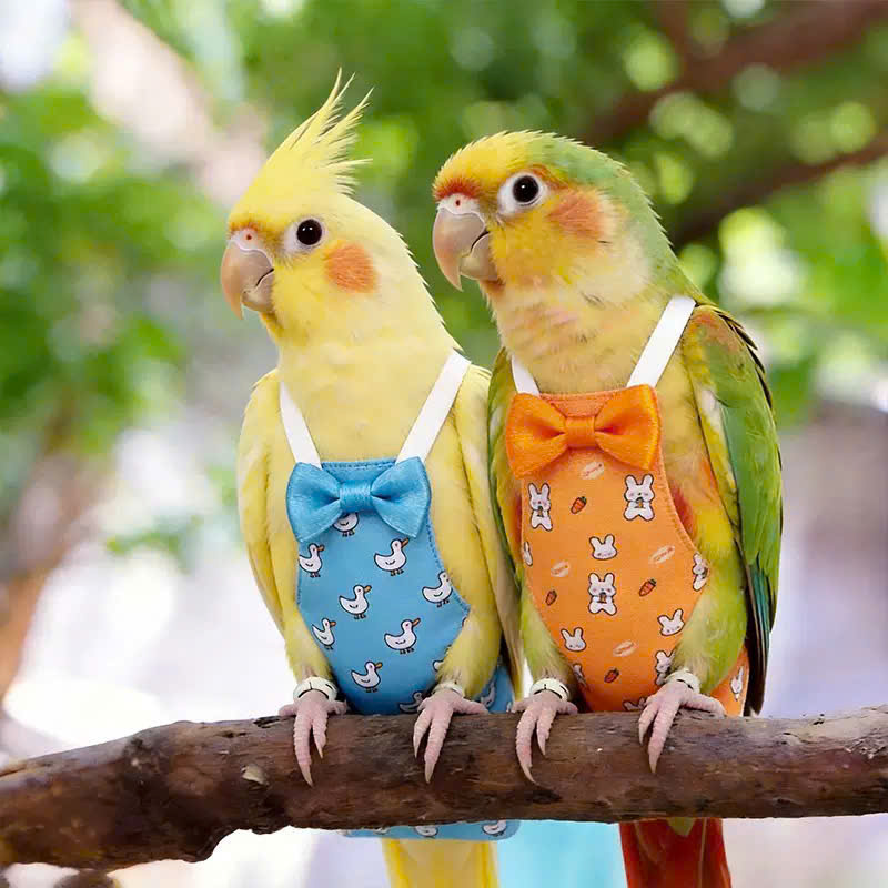 QUẦN ÁO TÃ CHO CHIM CẢNH CHIM VẸT DỄ THƯƠNG MÃ 3 XINH XẮN CHO THÚ CƯNG CHIM