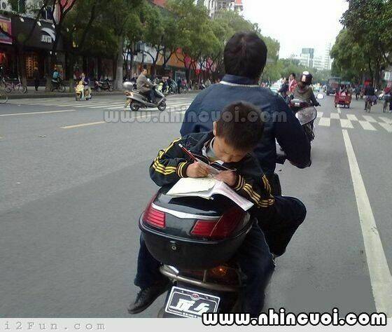 hình ảnh hài hước new chapter 8 17