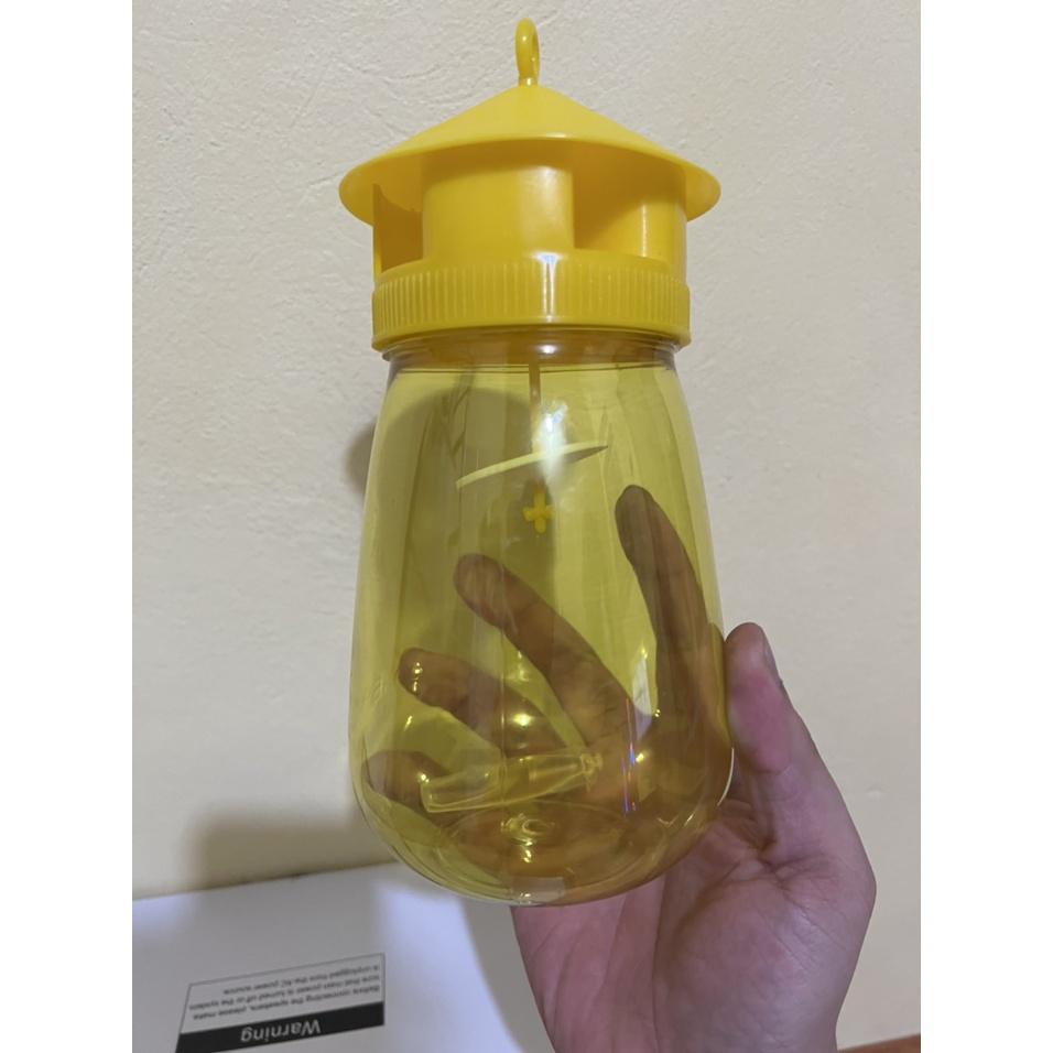 BẪY RUỒI VÀNG HIỆU QUẢ CAO + ỐNG DẪN DỤ , DIỆT TRỪ RUỒI VÀNG GÂY HẠI