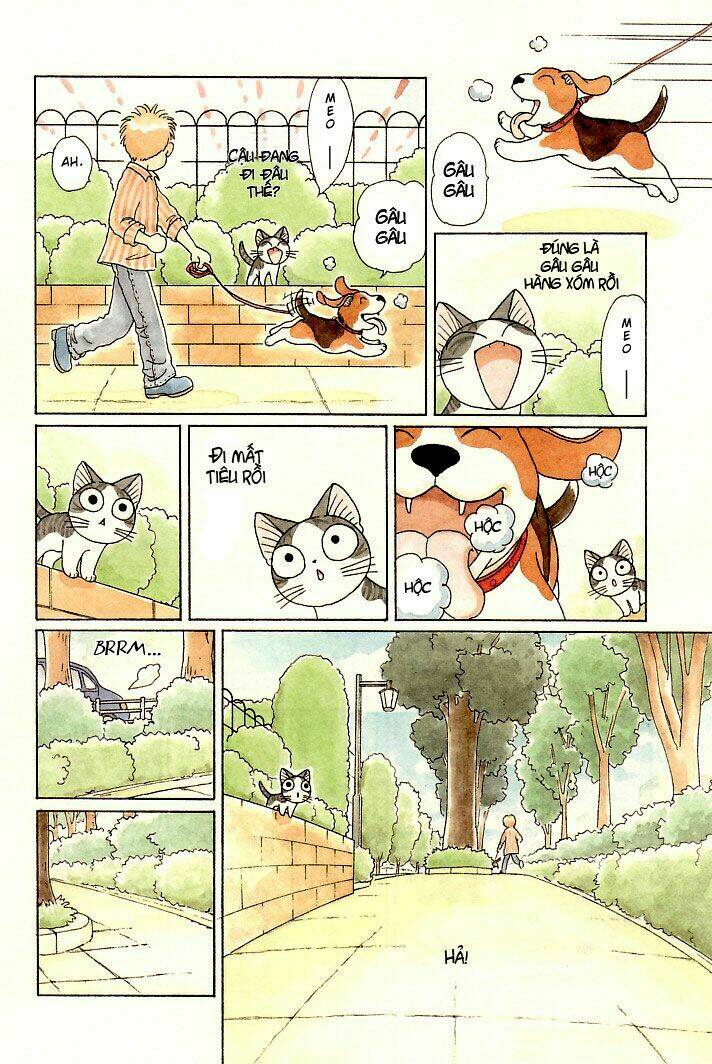 chi's sweet home chapter 81 4